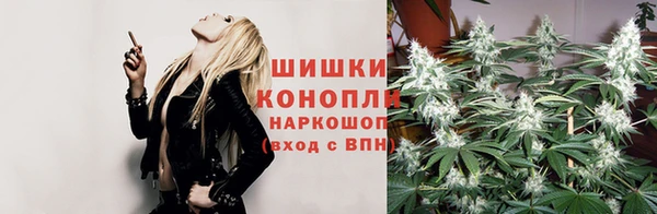 твердый Алзамай